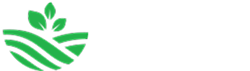 Vegetarian Food