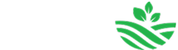 الأطعمة النباتية